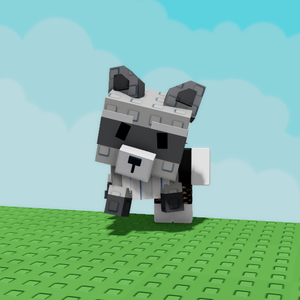 Raccoon