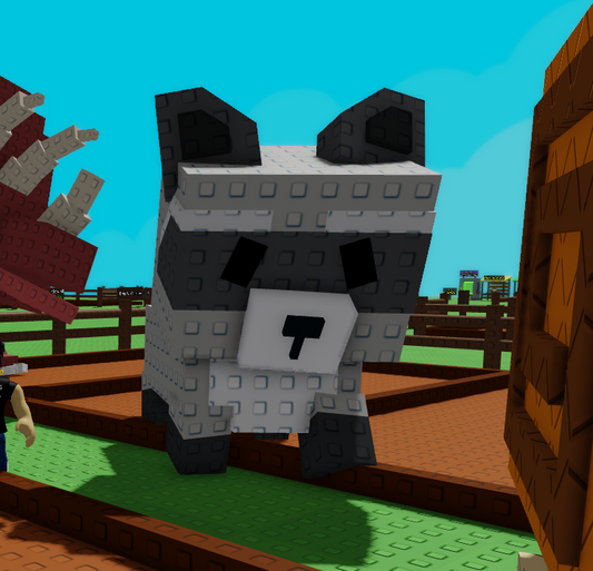 Huge Raccoon